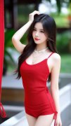 新严沉违的规律、组织规律、清廉糊口规律
