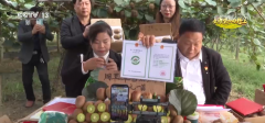 呼伦贝2025年粮食做物播种面积冲破2500万亩